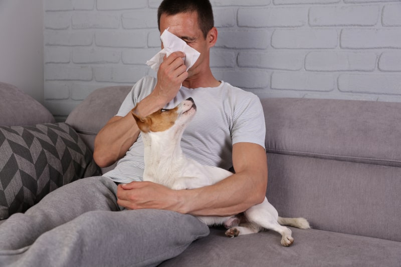 Are Your Pets Impacting Your Indoor Air Quality in New Orleans, LA?